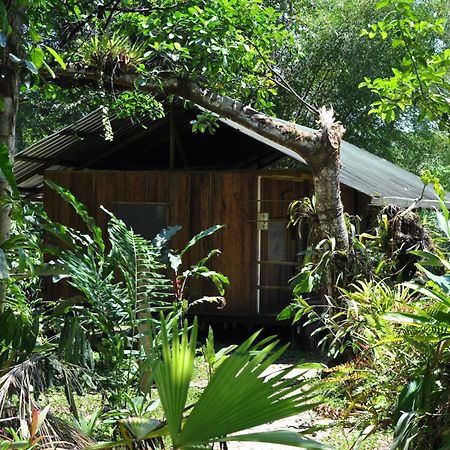 Hakuna Matata Amazon Lodge Archidona Exteriér fotografie