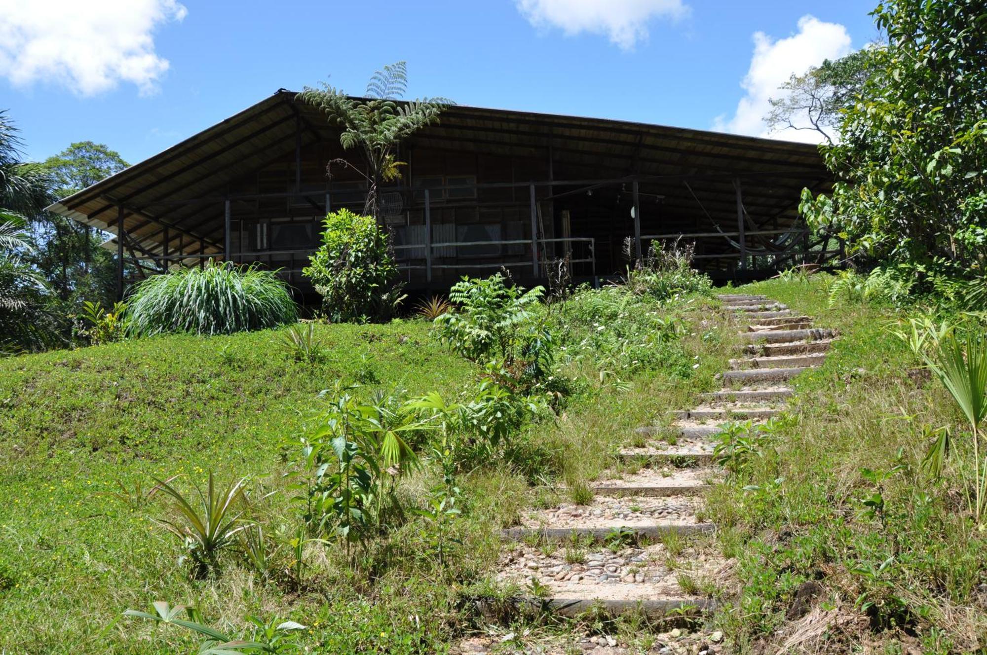 Hakuna Matata Amazon Lodge Archidona Exteriér fotografie