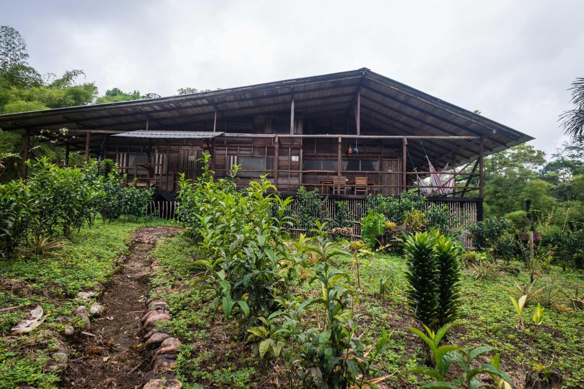 Hakuna Matata Amazon Lodge Archidona Pokoj fotografie