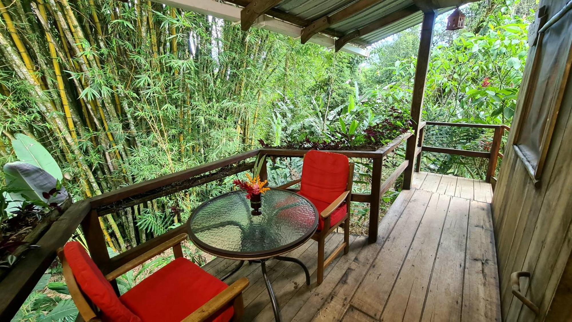 Hakuna Matata Amazon Lodge Archidona Exteriér fotografie