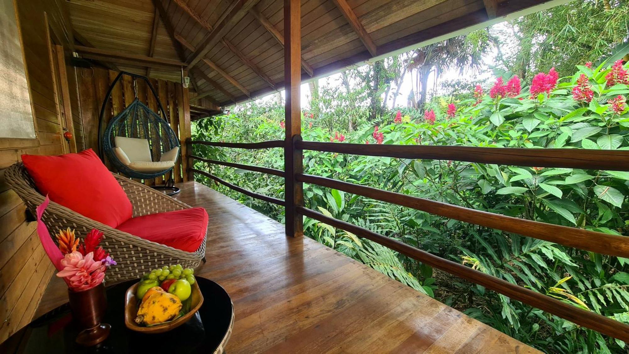 Hakuna Matata Amazon Lodge Archidona Exteriér fotografie