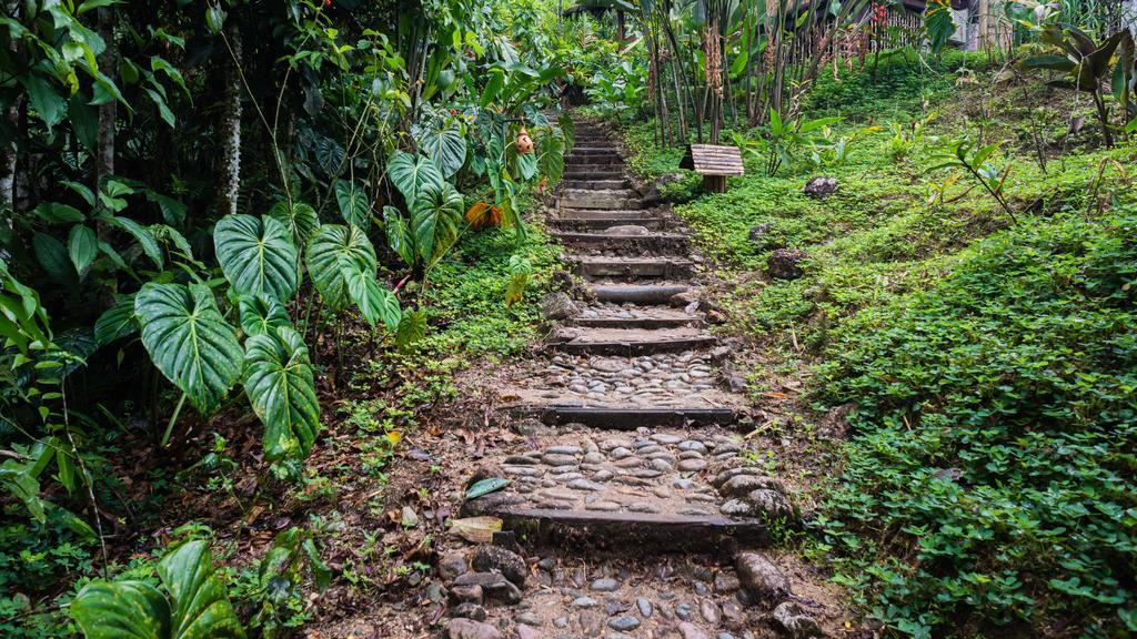 Hakuna Matata Amazon Lodge Archidona Exteriér fotografie
