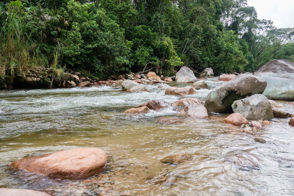 Hakuna Matata Amazon Lodge Archidona Exteriér fotografie
